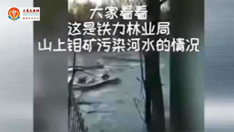 铁力市林业局，不法商人勾结政府开钼矿，把河流全部污染.png