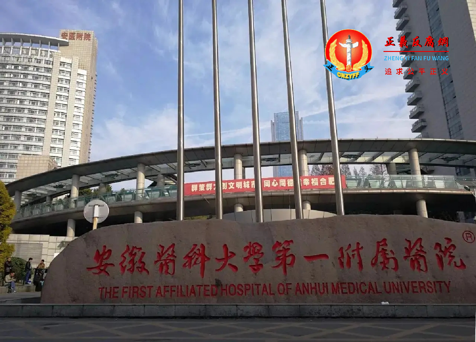 安徽医科大学第一附属医院.png
