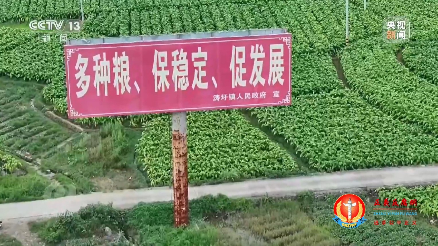 永久基本农田有不少水田里种的都不是水稻，而是南瓜、苦瓜等蔬菜作物。在涛圩镇石头寨村附近的一片农田中央竖着“保障粮食生产”“多种粮、保稳定、促发展”两块的大牌子，但是水田里种的却是别的经济作物。.jpg